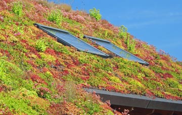 Foxbury living roof systems